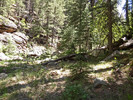 photo thumbnail #14