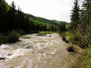 photo thumbnail #5