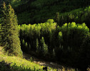 photo thumbnail #12