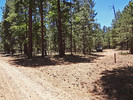 photo thumbnail #1