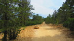 photo thumbnail #1