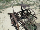 photo thumbnail #4