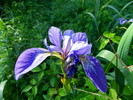 photo thumbnail #7