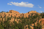 photo thumbnail #9