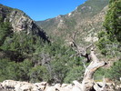 photo thumbnail #1