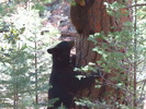 photo thumbnail #5