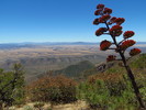 photo thumbnail #12