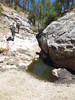photo thumbnail #2