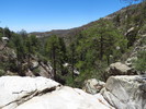photo thumbnail #6