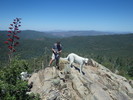 photo thumbnail #2