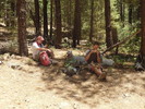 photo thumbnail #6