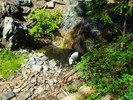 photo thumbnail #9