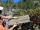 photo thumbnail #3