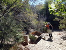 photo thumbnail #5