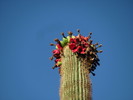 photo thumbnail #1