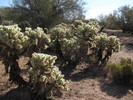 photo thumbnail #5