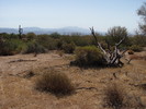 photo thumbnail #8