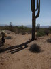 photo thumbnail #9