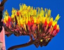 photo thumbnail #15