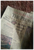 photo thumbnail #6
