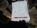 photo thumbnail #11
