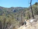 photo thumbnail #6