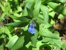 photo thumbnail #8