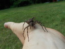 photo thumbnail #2