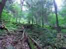 photo thumbnail #10