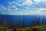 photo thumbnail #15