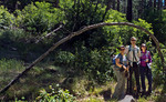 photo thumbnail #7