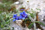 photo thumbnail #1