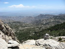 photo thumbnail #8