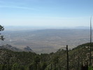 photo thumbnail #13