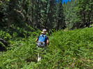 photo thumbnail #8