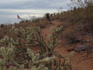 photo thumbnail #1