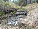 photo thumbnail #6