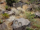 photo thumbnail #14