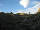 photo thumbnail #12