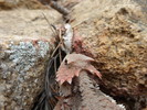 photo thumbnail #11