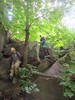photo thumbnail #5