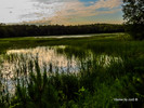 photo thumbnail #12