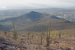 photo thumbnail #3