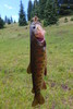 photo thumbnail #8
