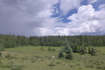 photo thumbnail #10