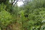 photo thumbnail #12