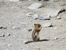 photo thumbnail #10