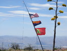 photo thumbnail #6
