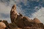 photo thumbnail #10