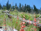 photo thumbnail #5